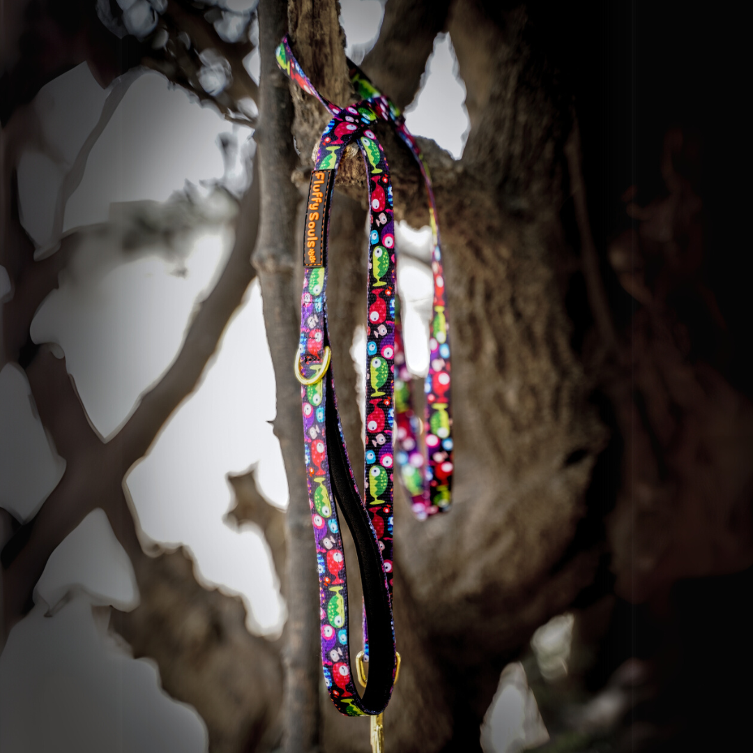 Bobble Fish Leash and Harness Walk Set