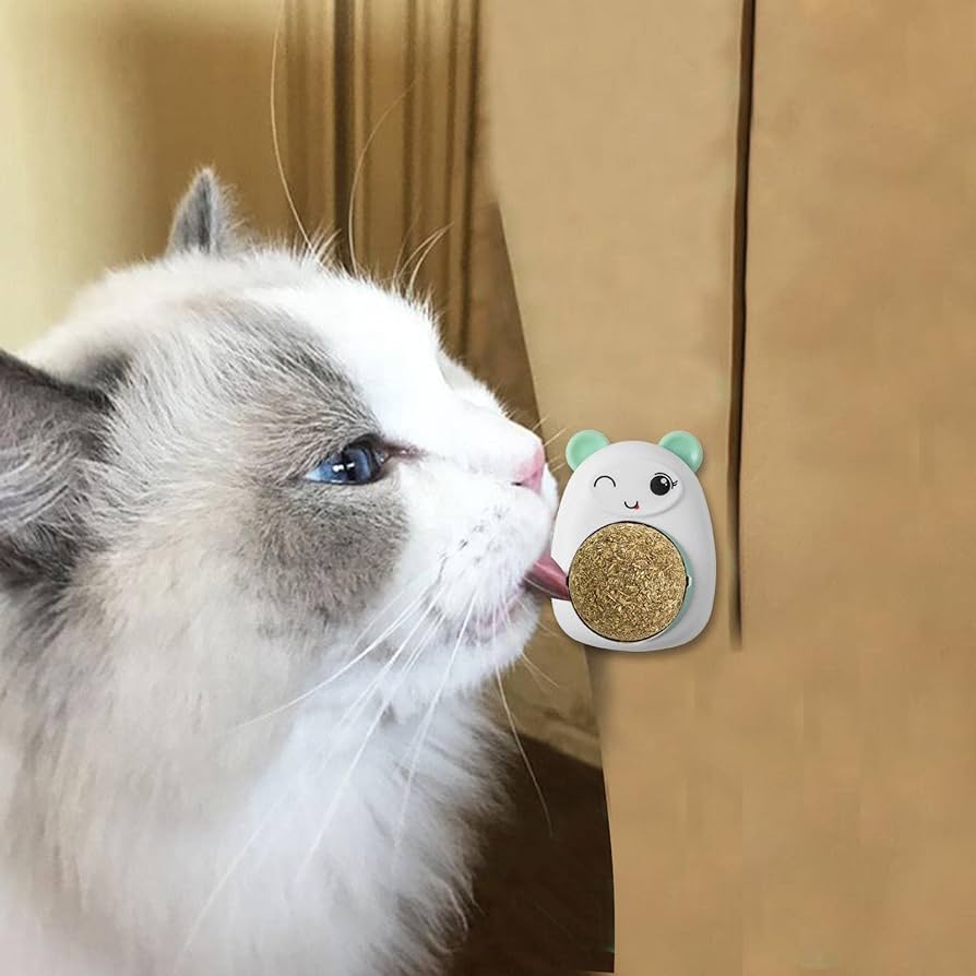 Rotating Catnip Lick Ball – Natural Cat Treat & Playtime Delight