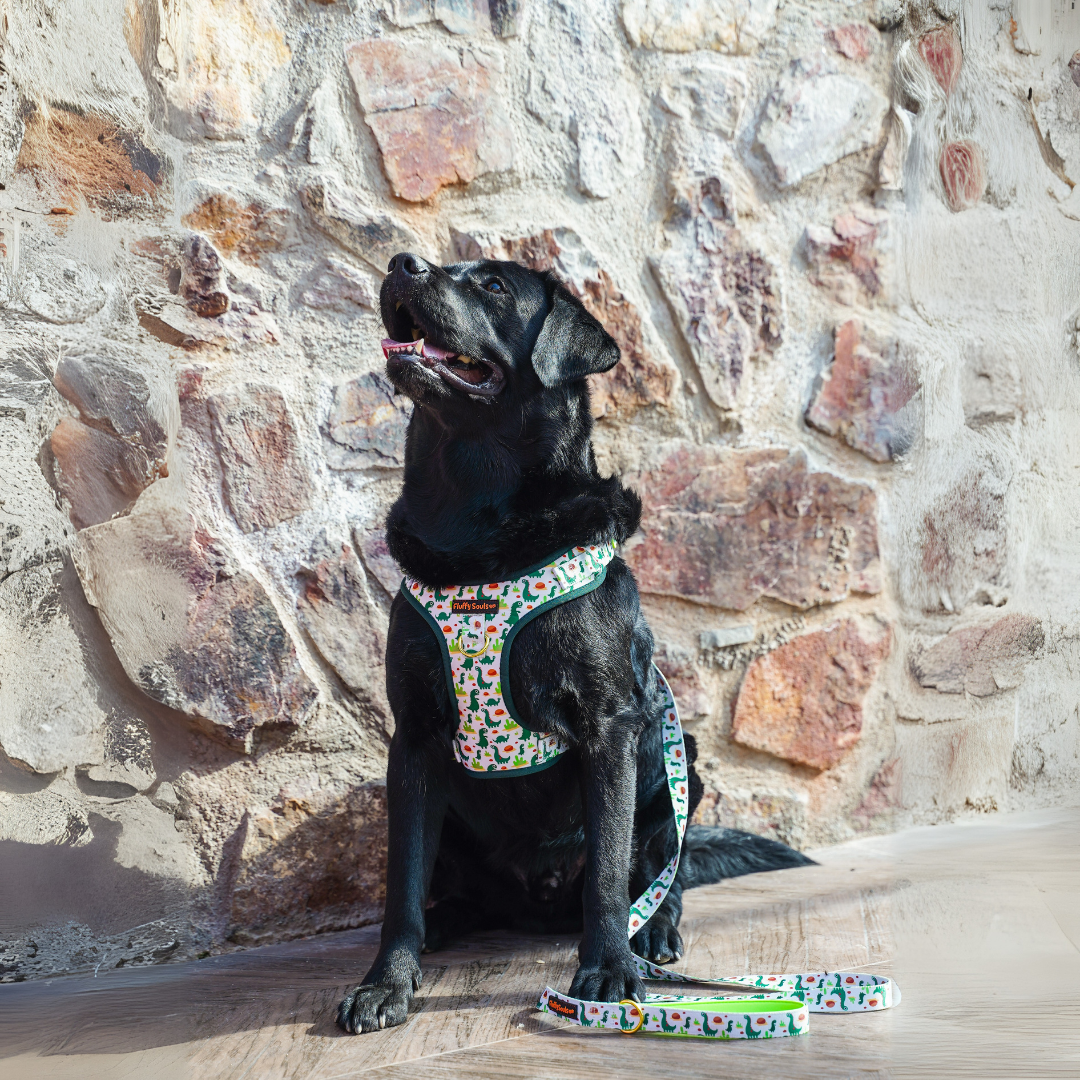 Dino Print Dog Harness