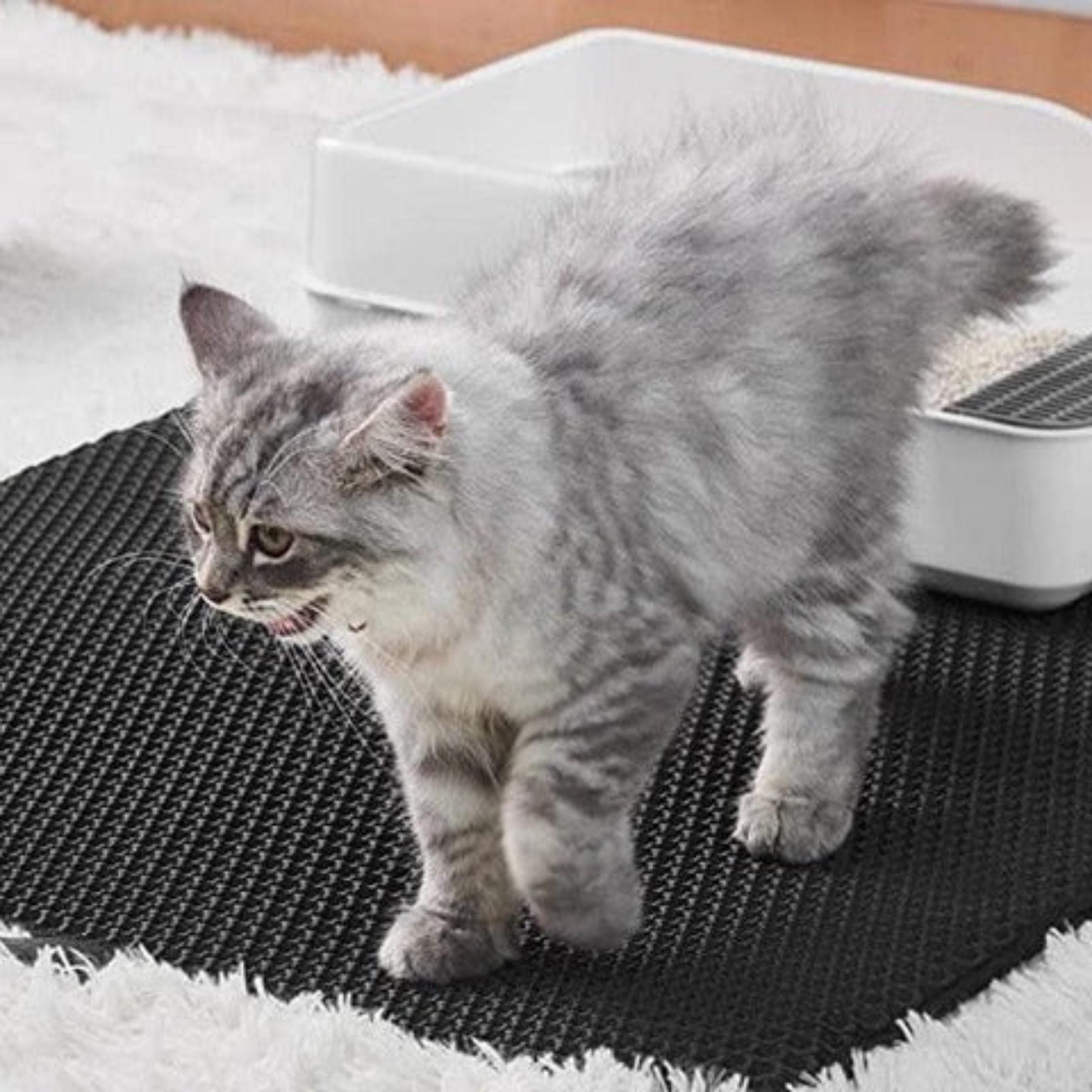Waterproof Cat Litter Mat