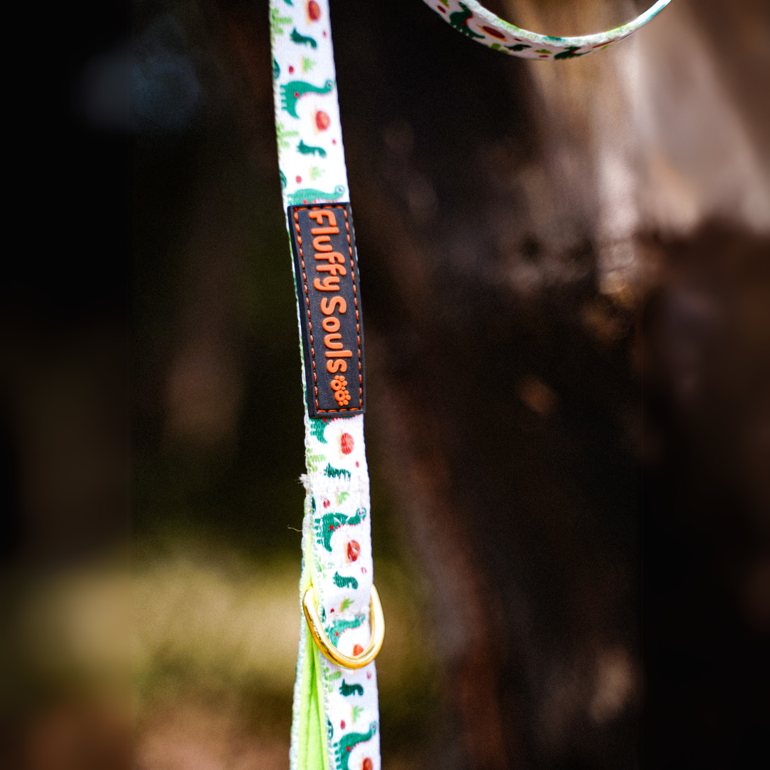 Dino Dog Leash and Harness Walk Set