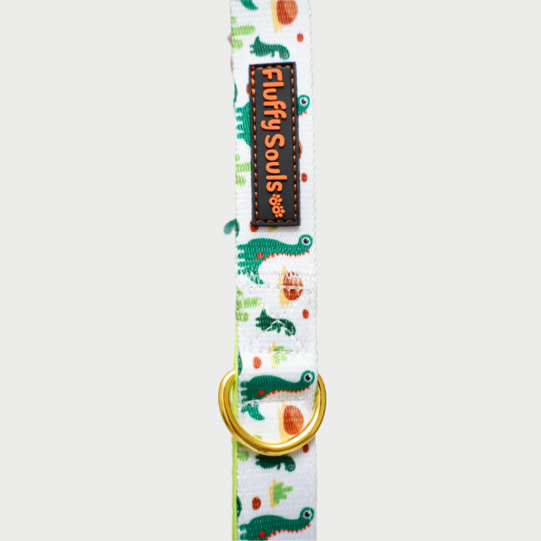 Dino Dog Leash and Harness Walk Set