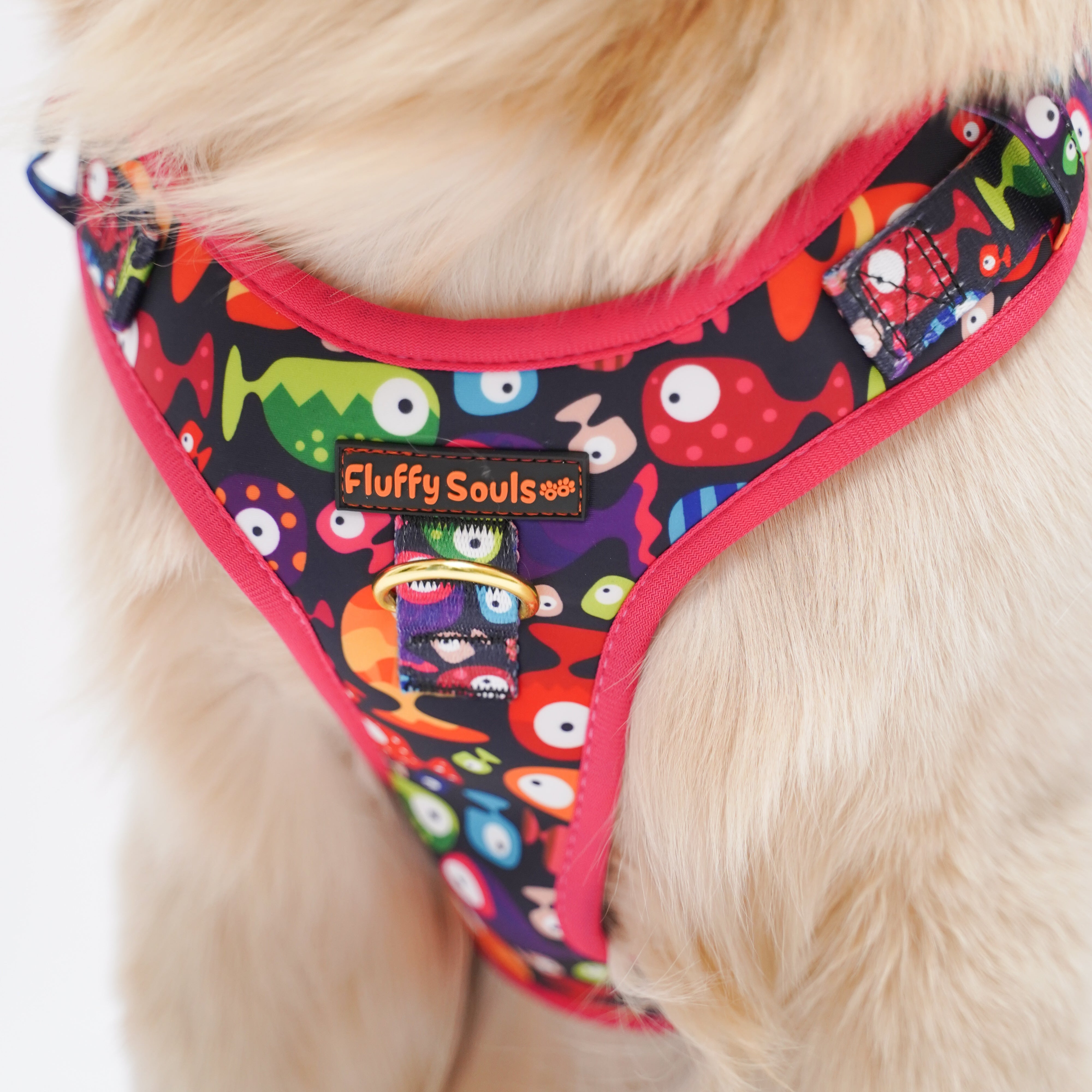 Bobble Fish Leash and Harness Walk Set