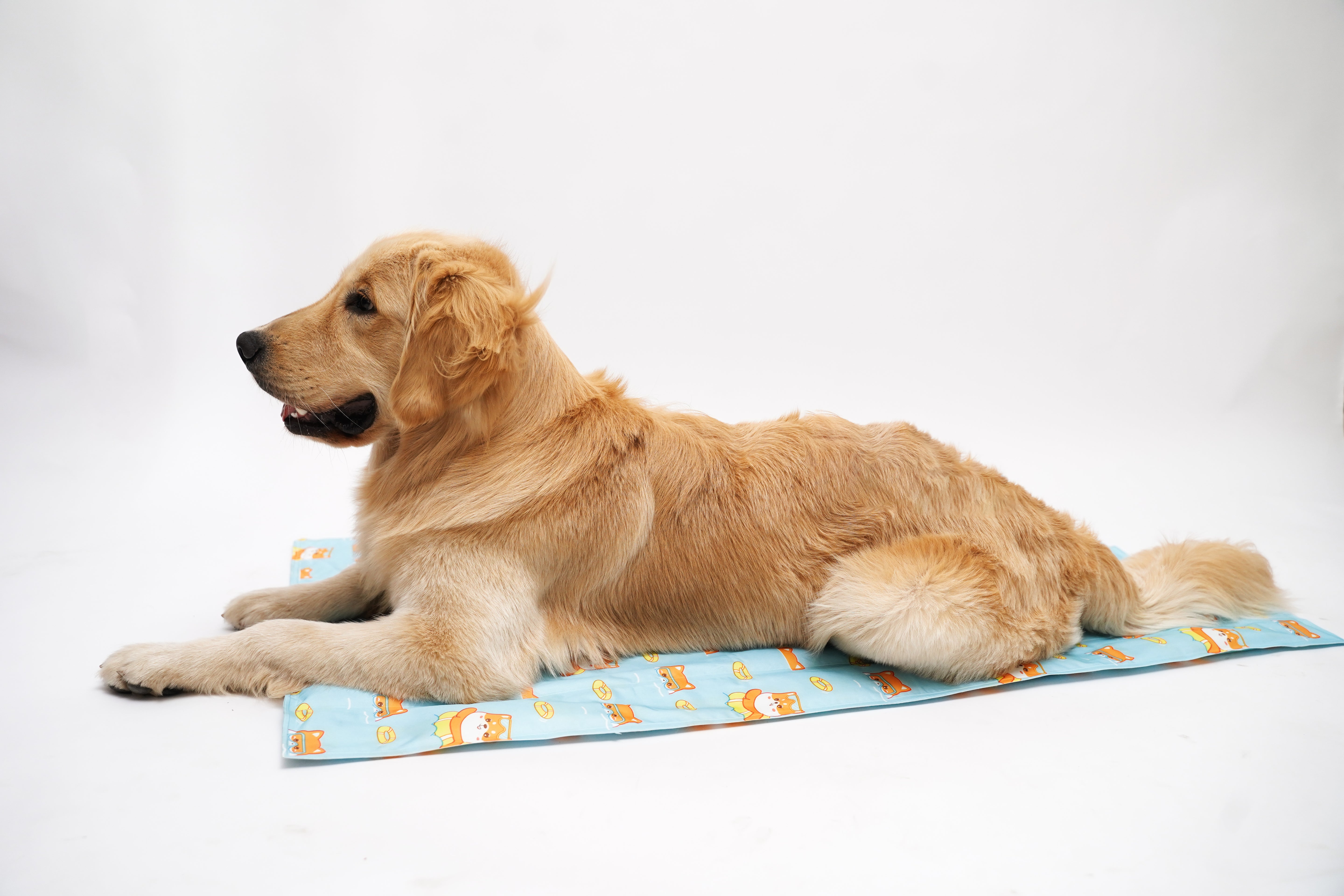Self Cooling Summer Mat