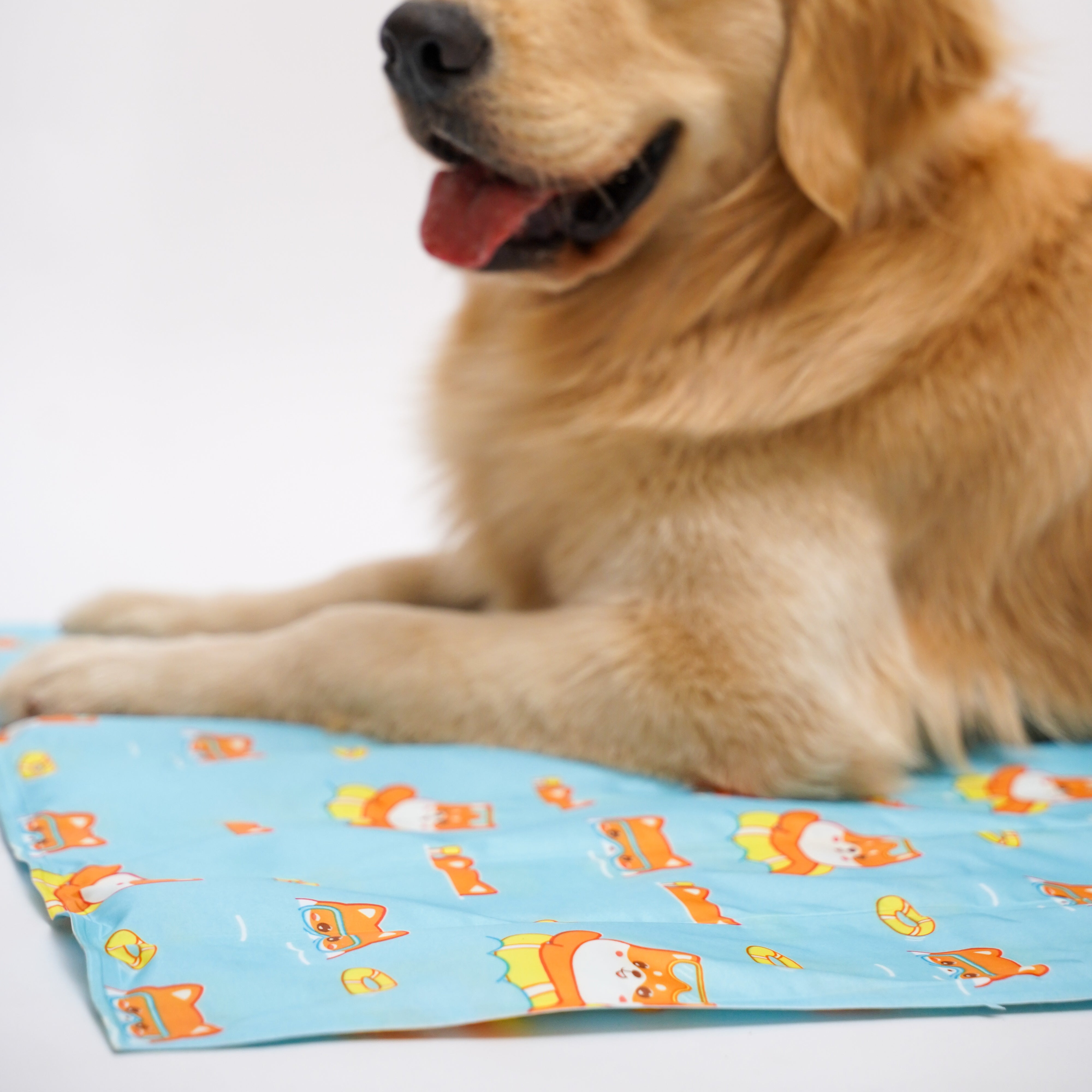 Self Cooling Summer Mat
