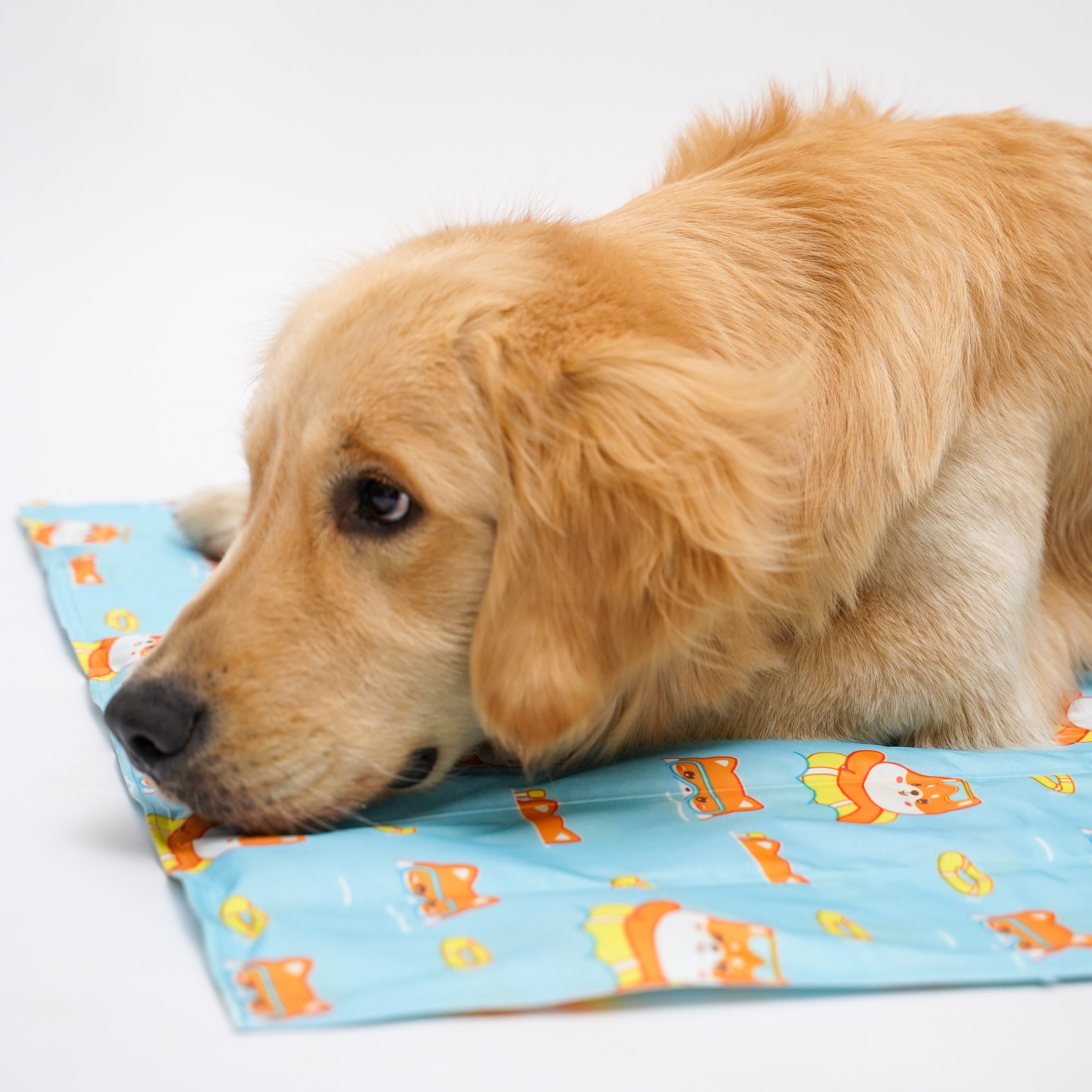 Self Cooling Summer Mat