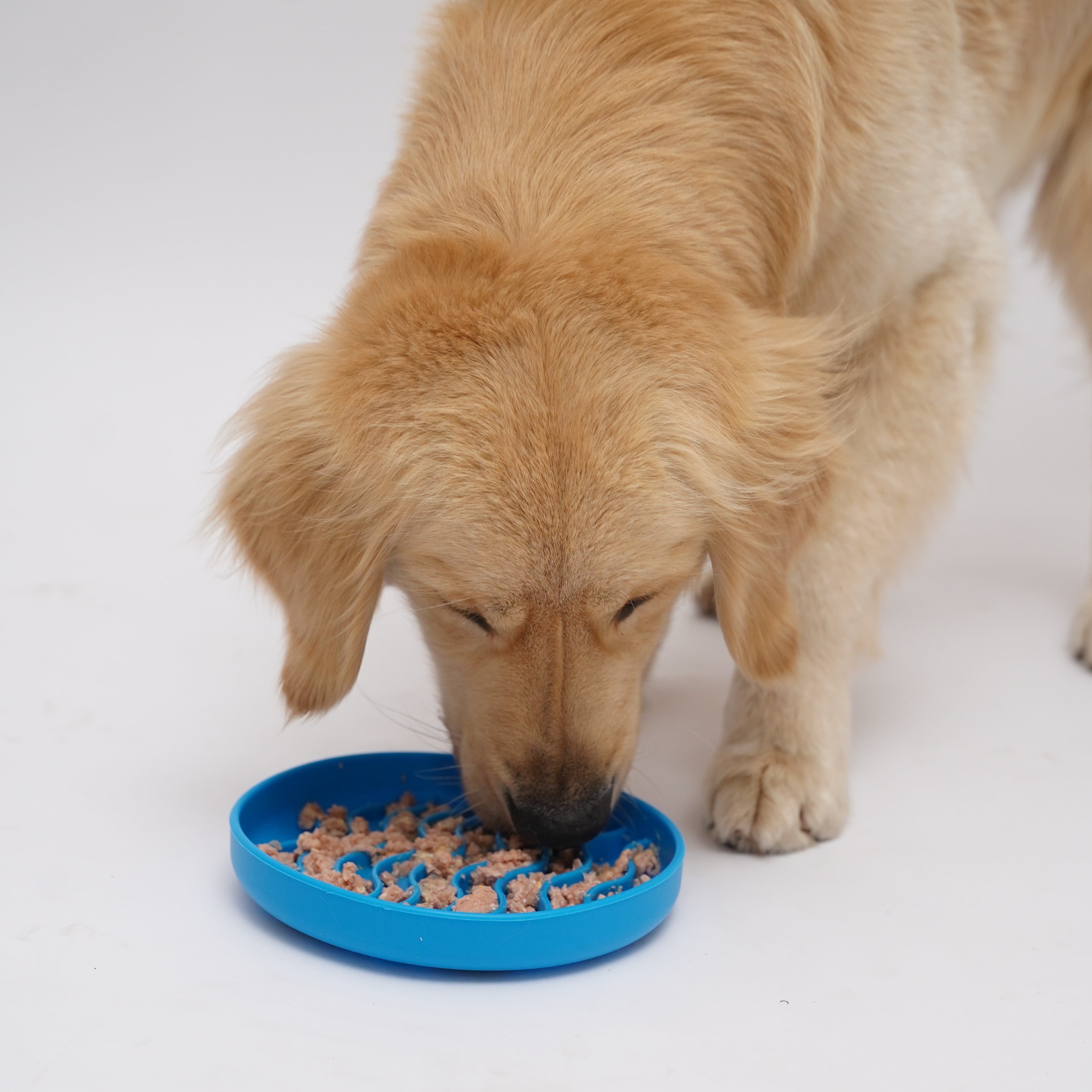 Silicone Slow Feeder Bowl – Anti-Gulping Design for Dogs & Cats
