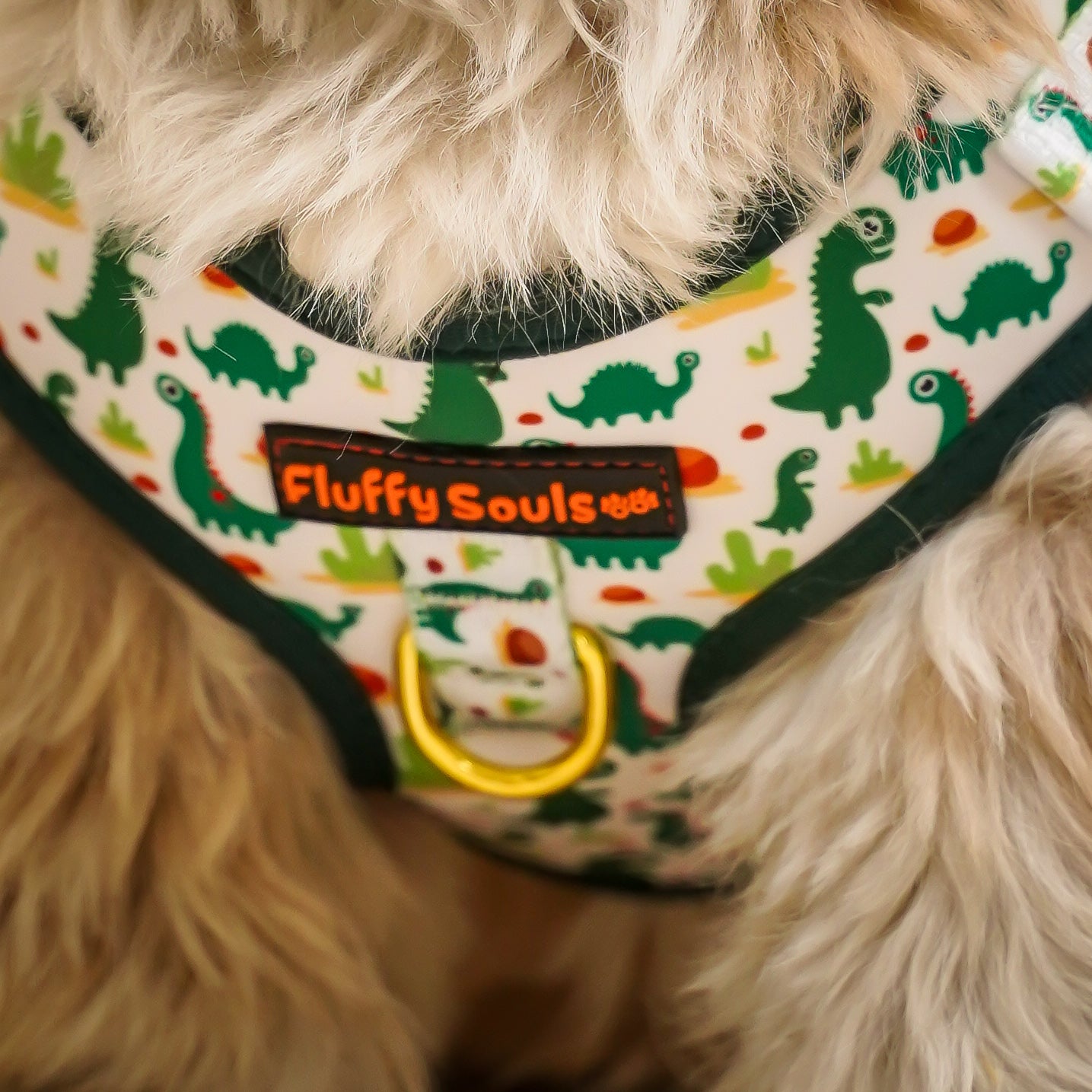 Dino Dog Leash and Harness Walk Set