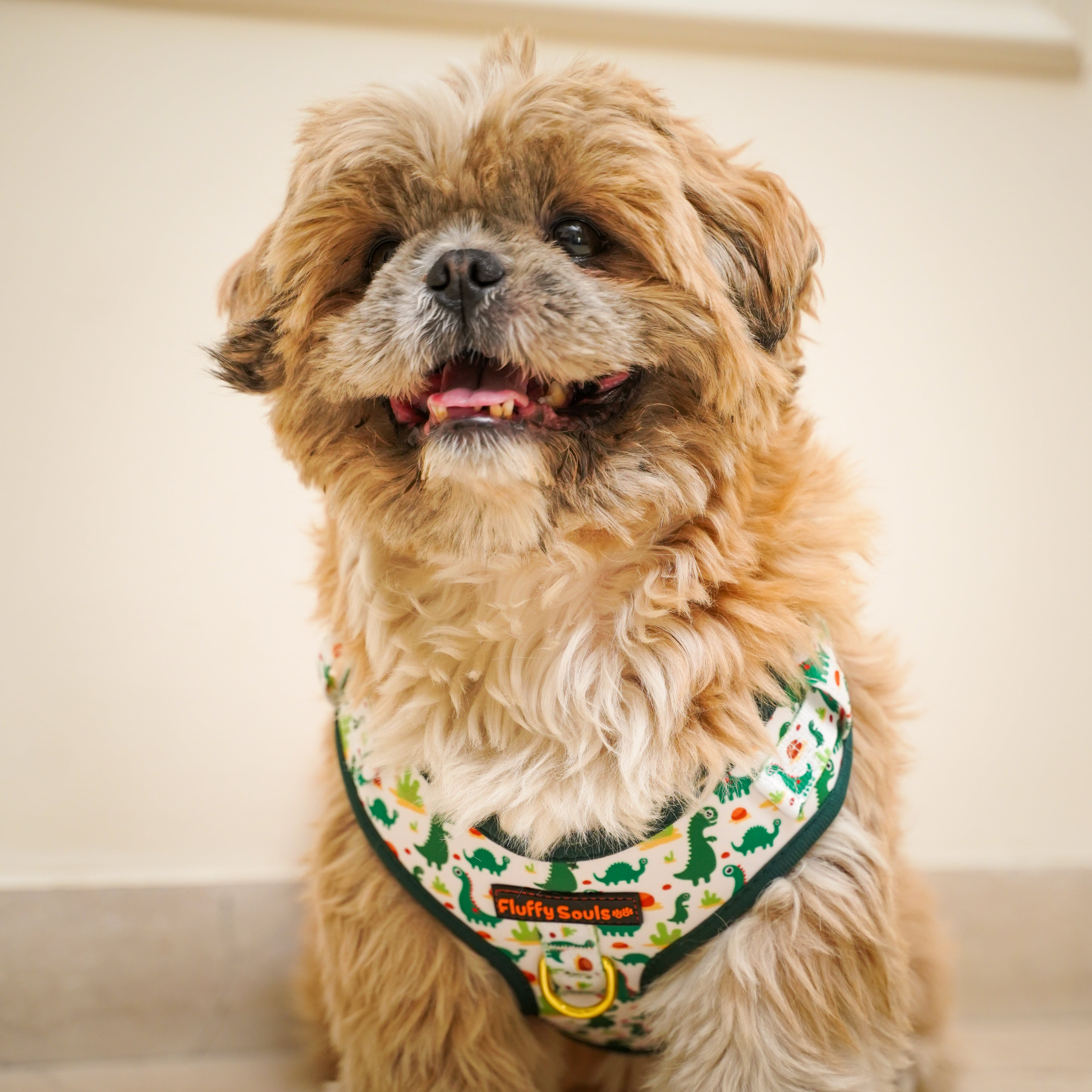 Dino Print Dog Harness