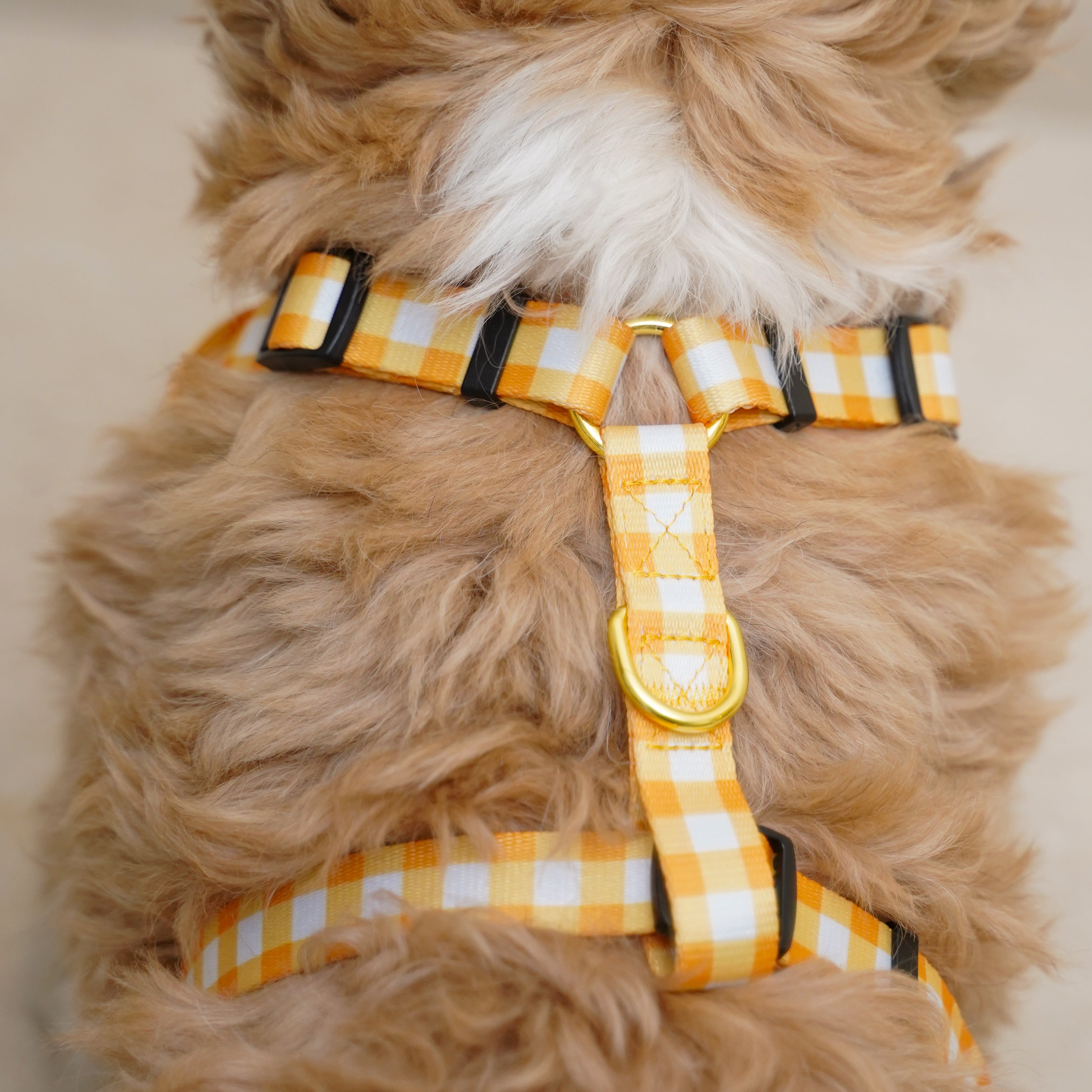 Yellow Checks Leash and Harness Walk Set
