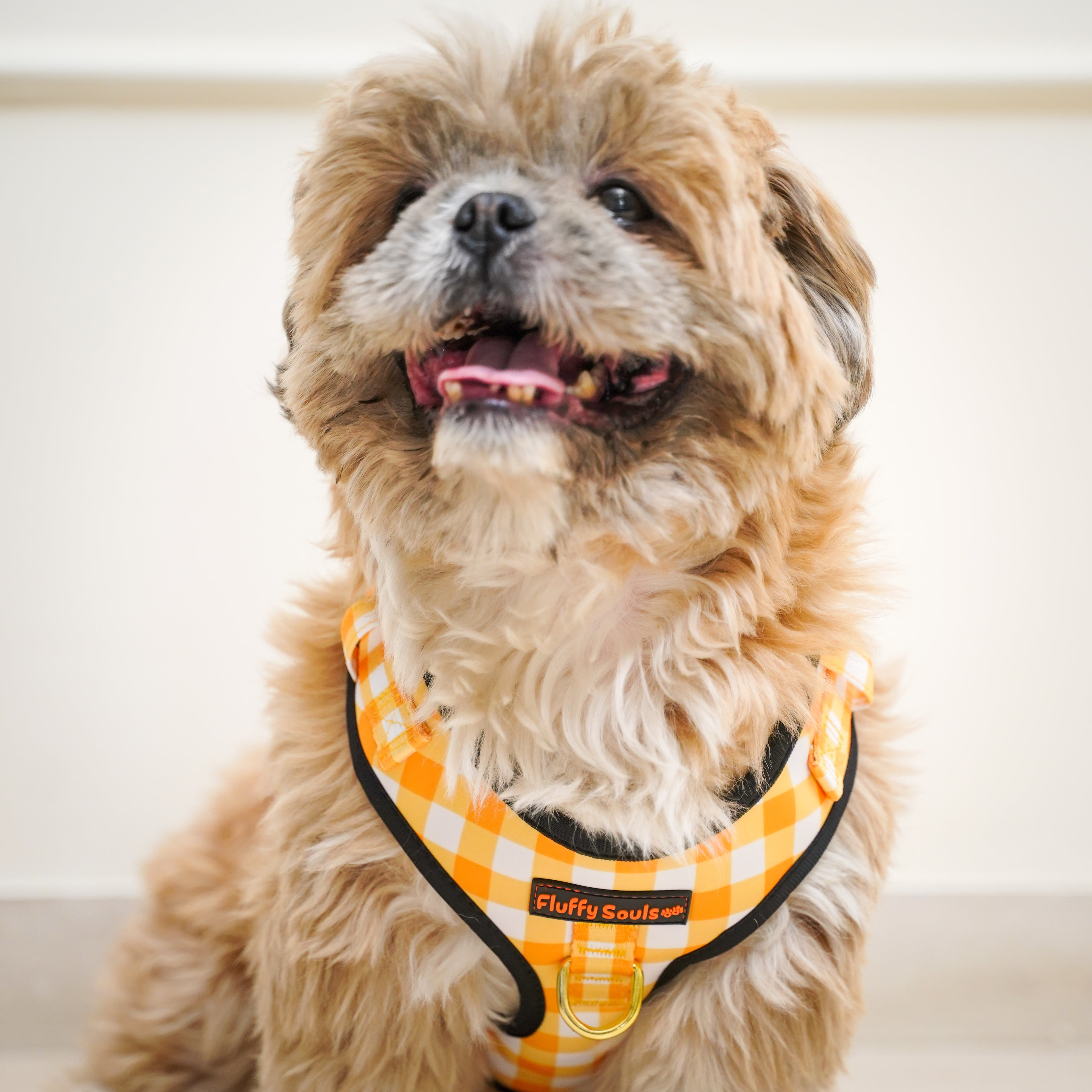 Yellow Checks Dog Harness