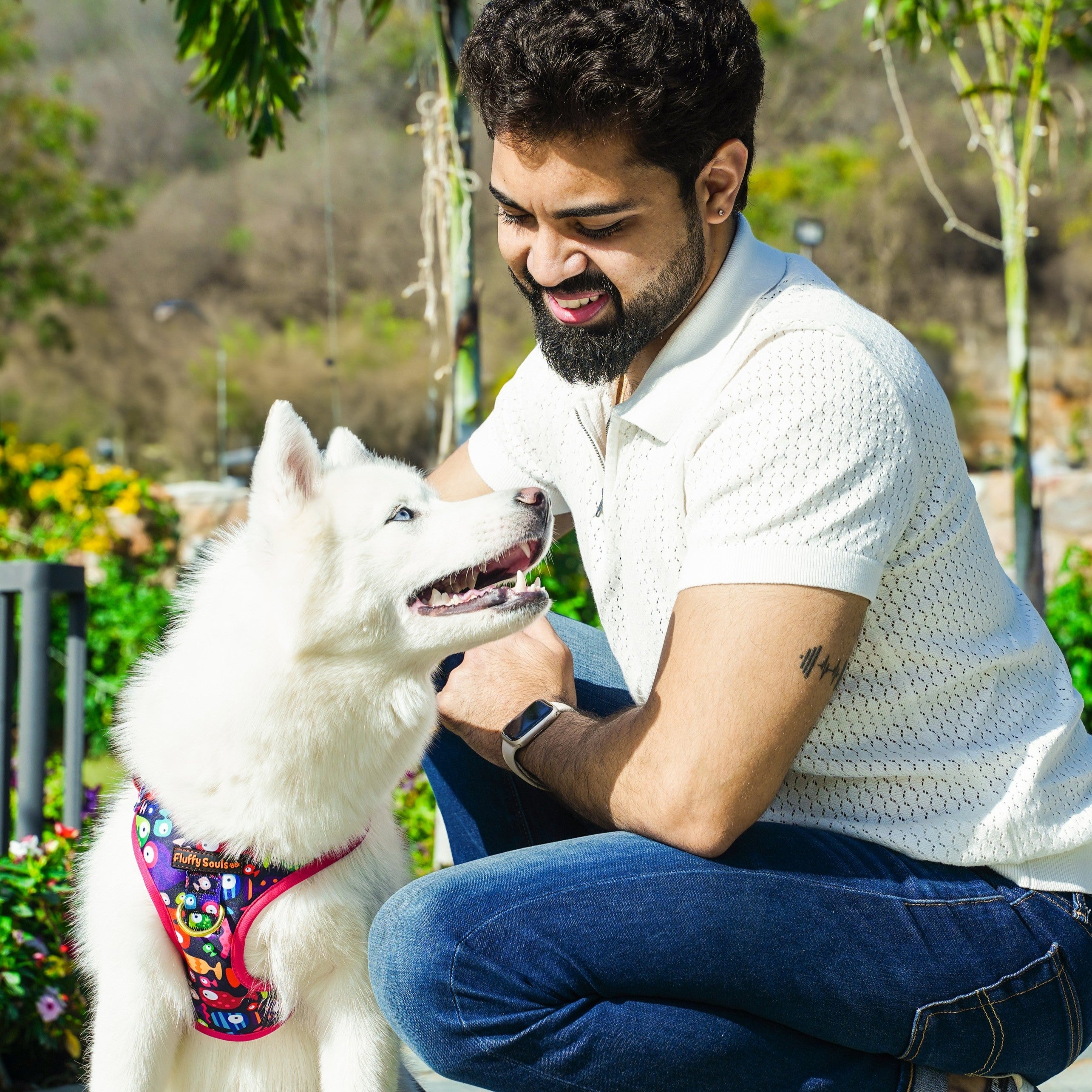 Bobble Fish Leash and Harness Walk Set