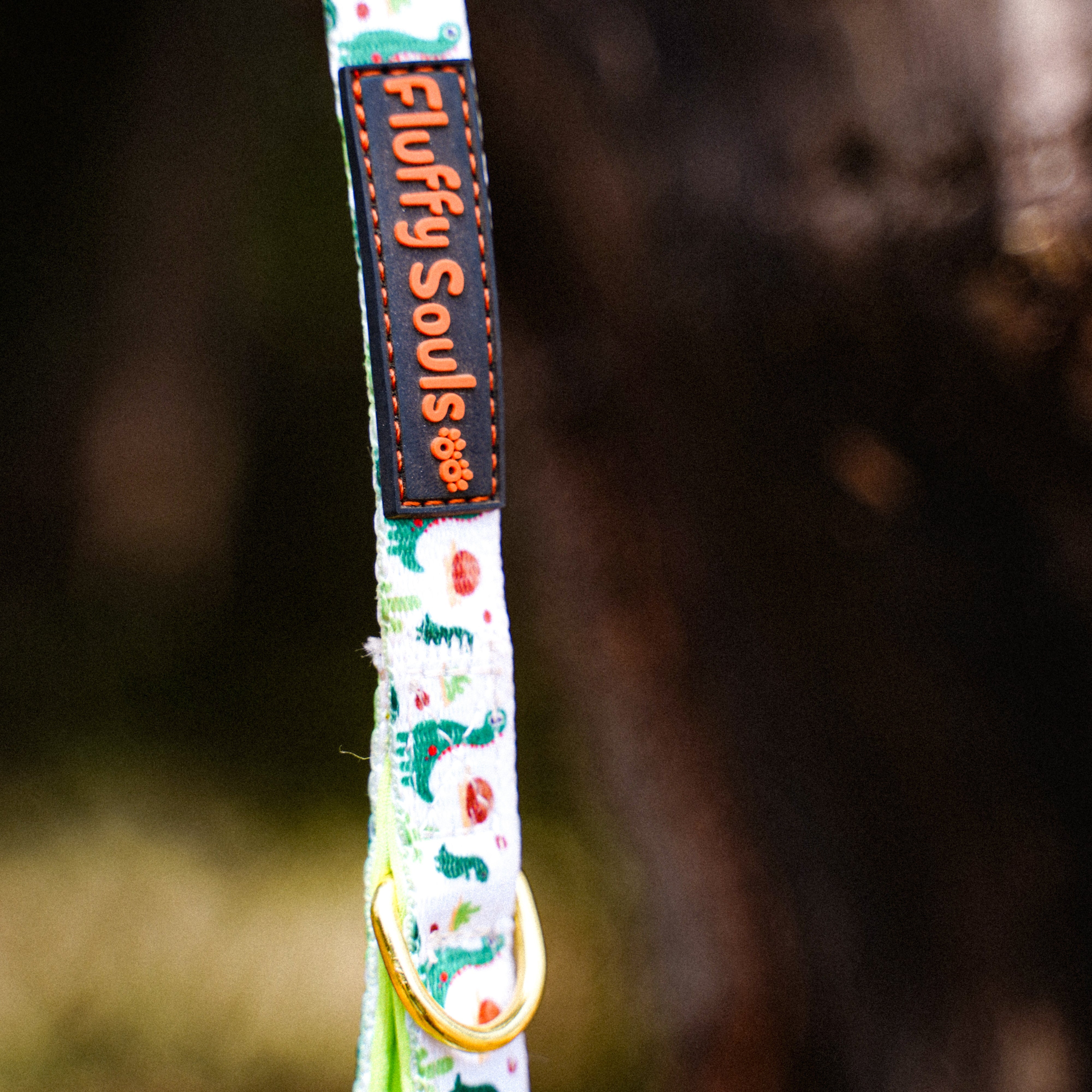 Dino Dog Leash