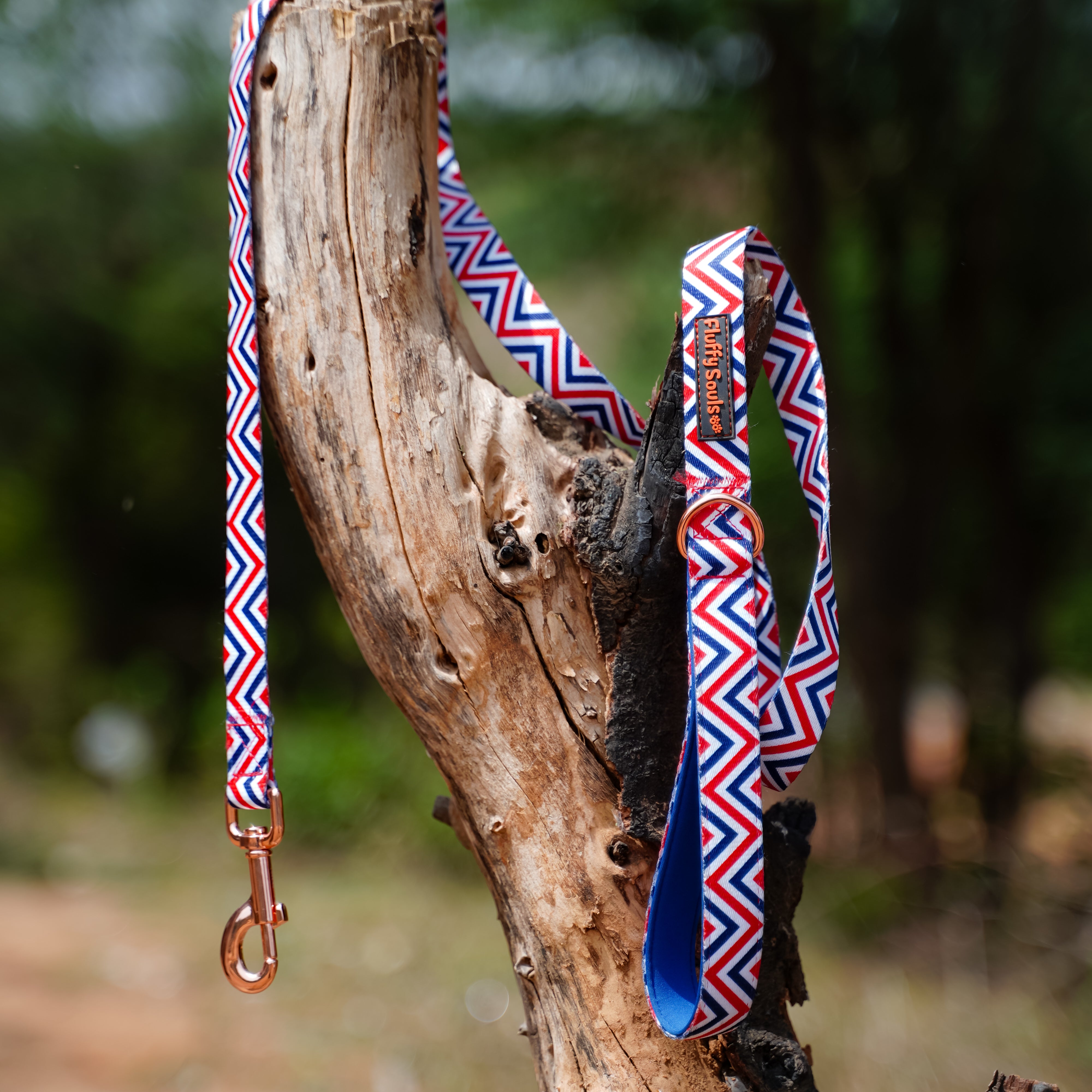 Zigzag stripes Leash and Harness Walk Set