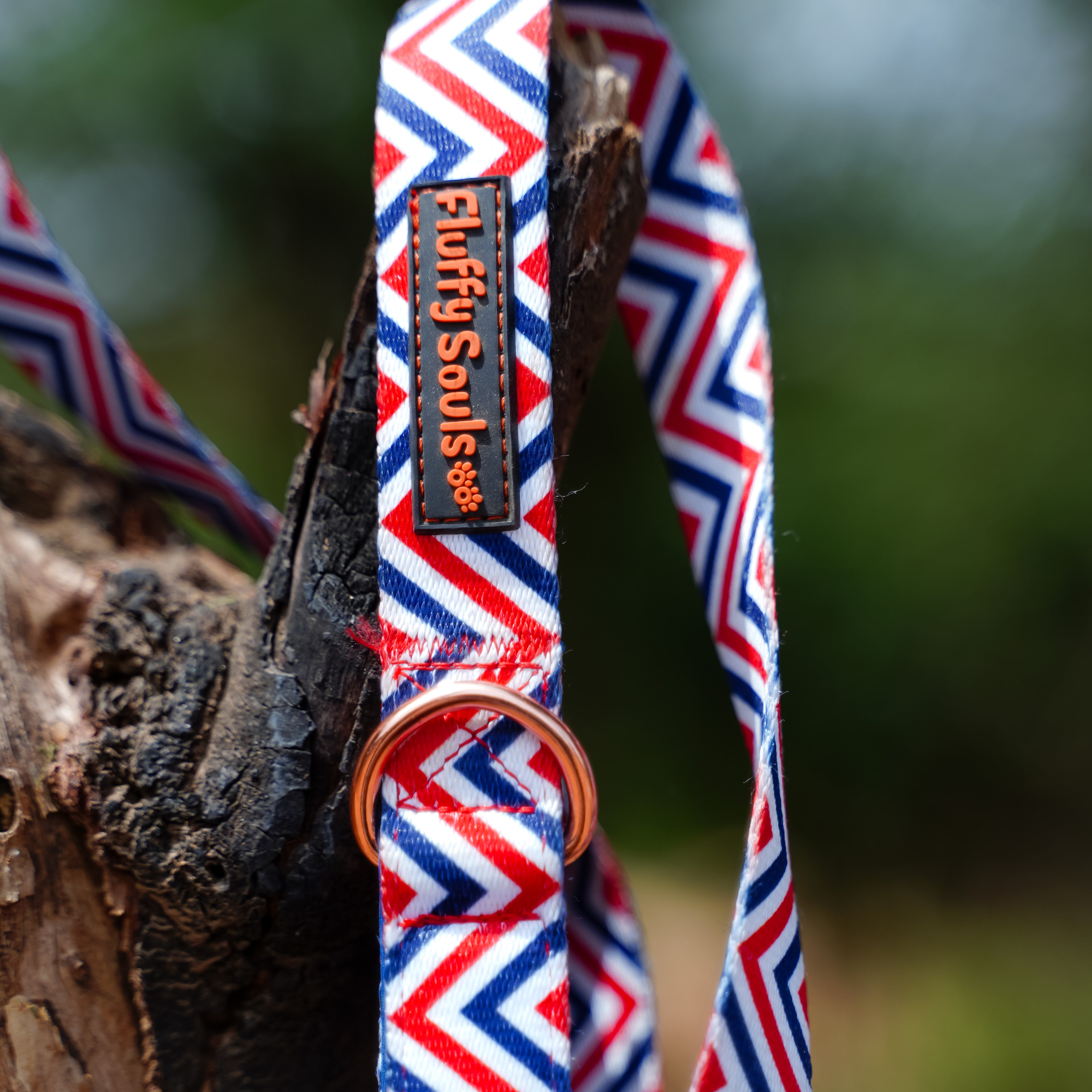 Zigzag Stripes Dog Leash