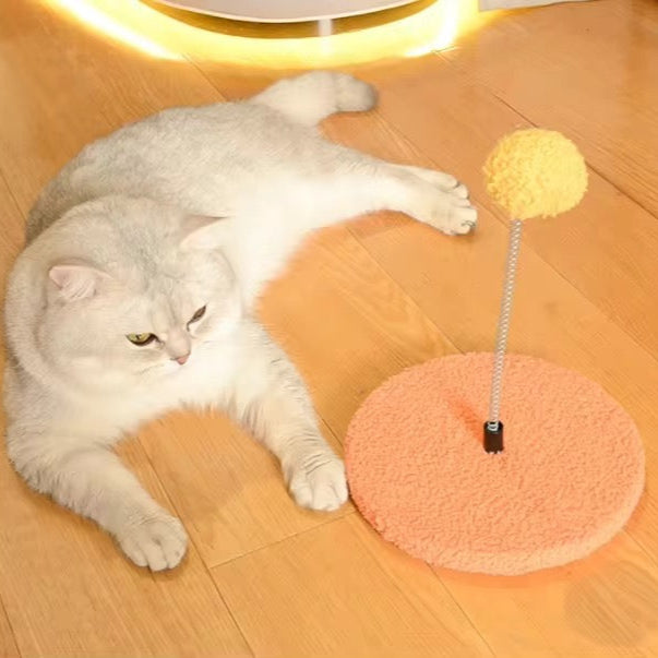 Teasing Stick with Spring Ball - Cat Interactive Toy