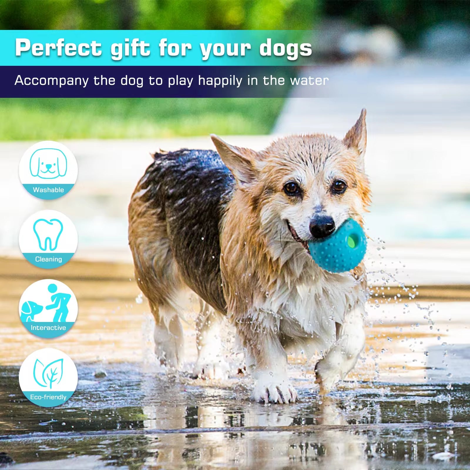 Giggle Ball Interactive Fun Dog Toy with Fun Giggle Sounds