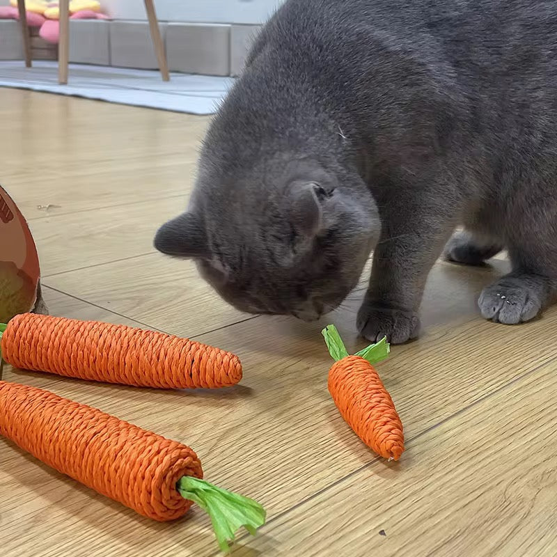 Natural Sisal Carrot Cat Chew Toy