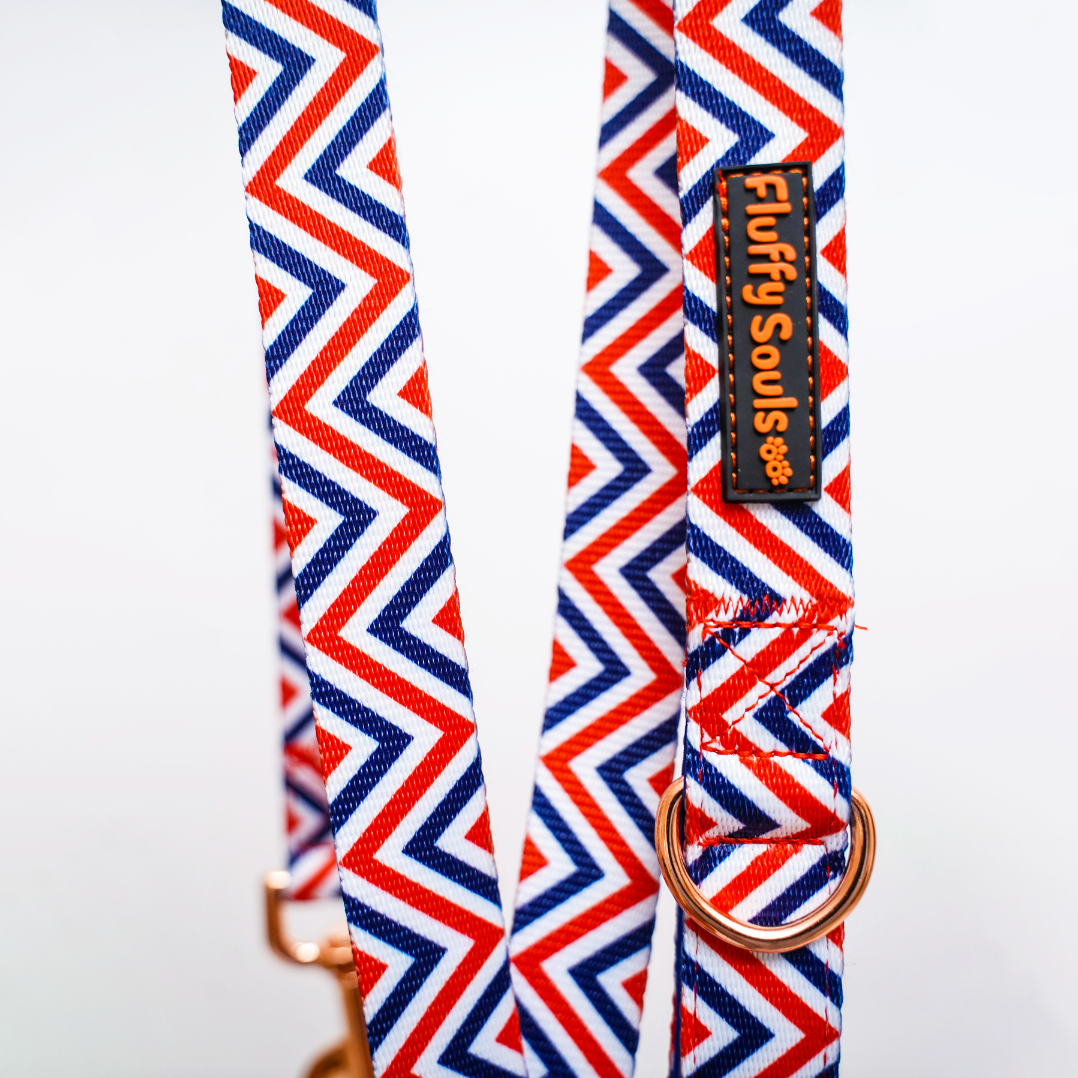 Zigzag Stripes Dog Leash