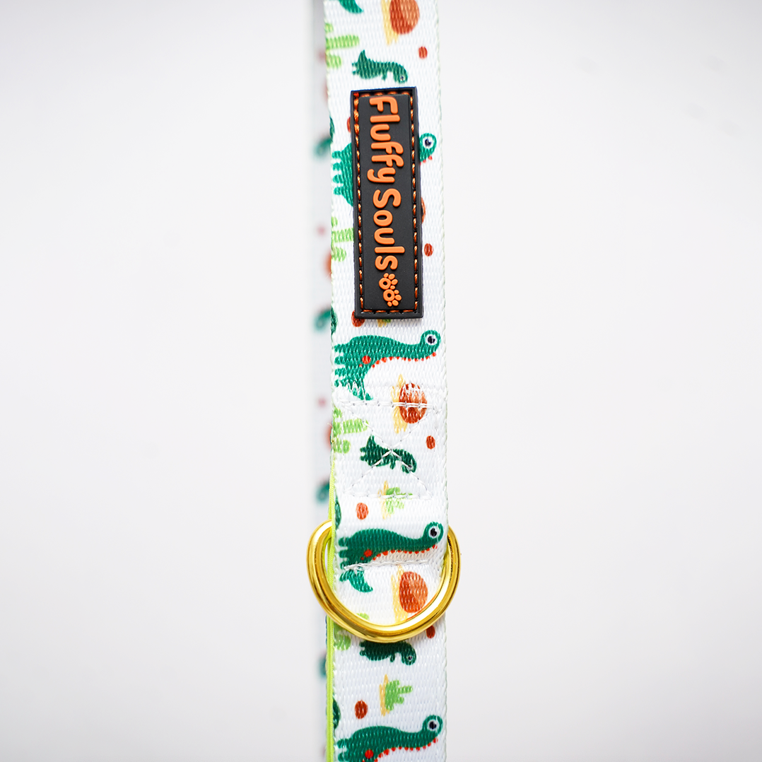 Dino Dog Leash
