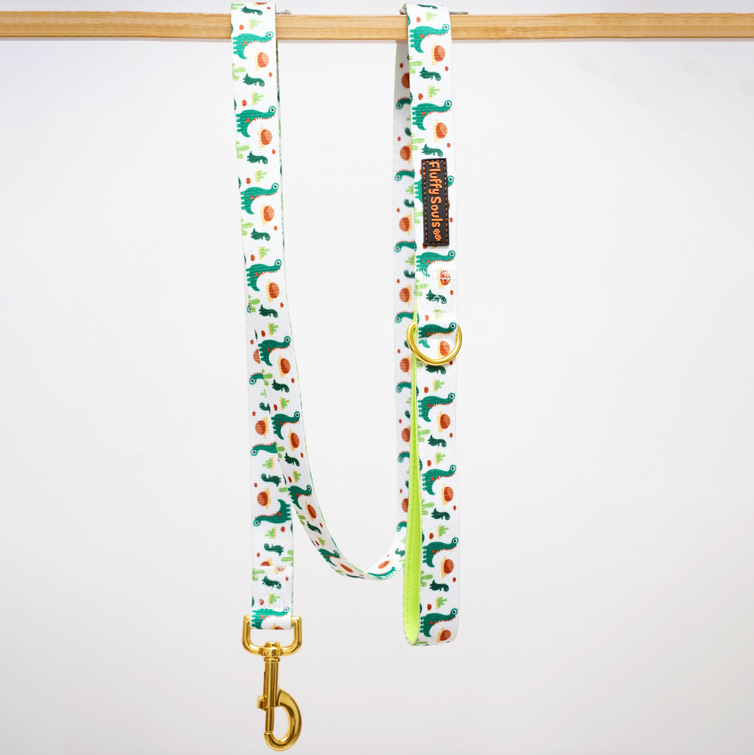 Dino Dog Leash and Harness Walk Set