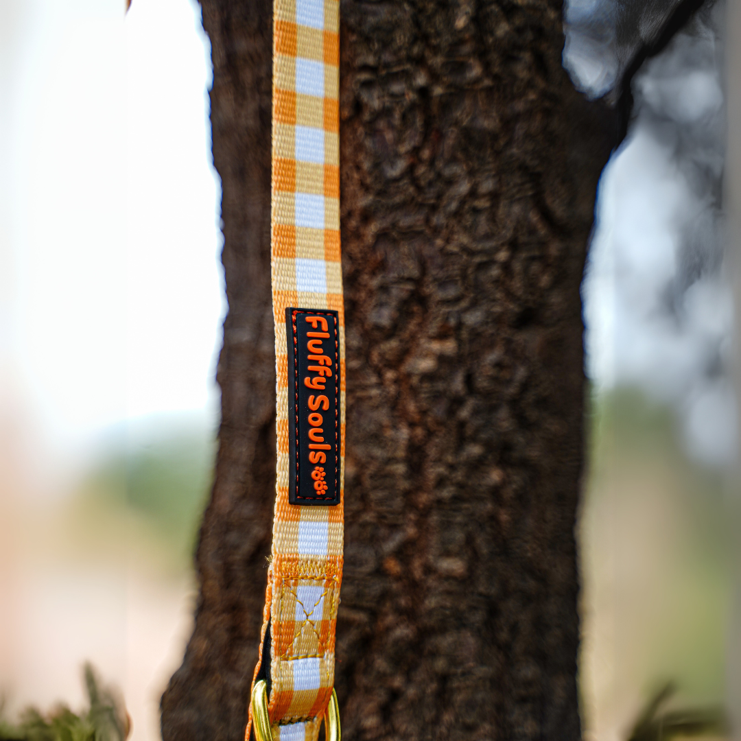 Yellow Checks Dog Leash