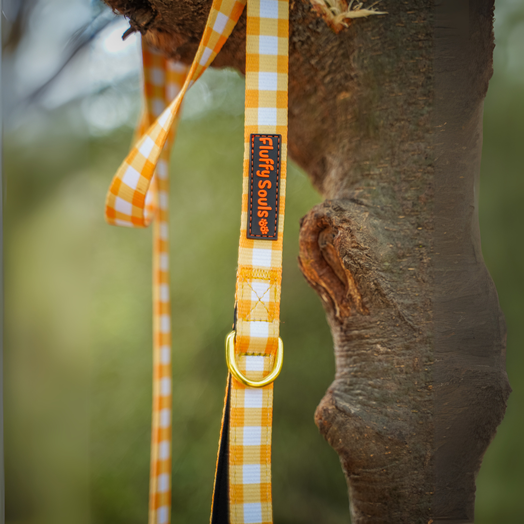Yellow Checks Dog Leash