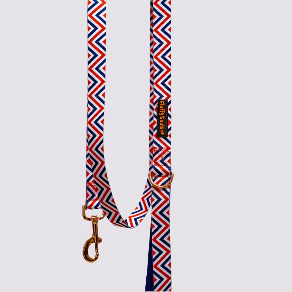 Zigzag Stripes Dog Leash