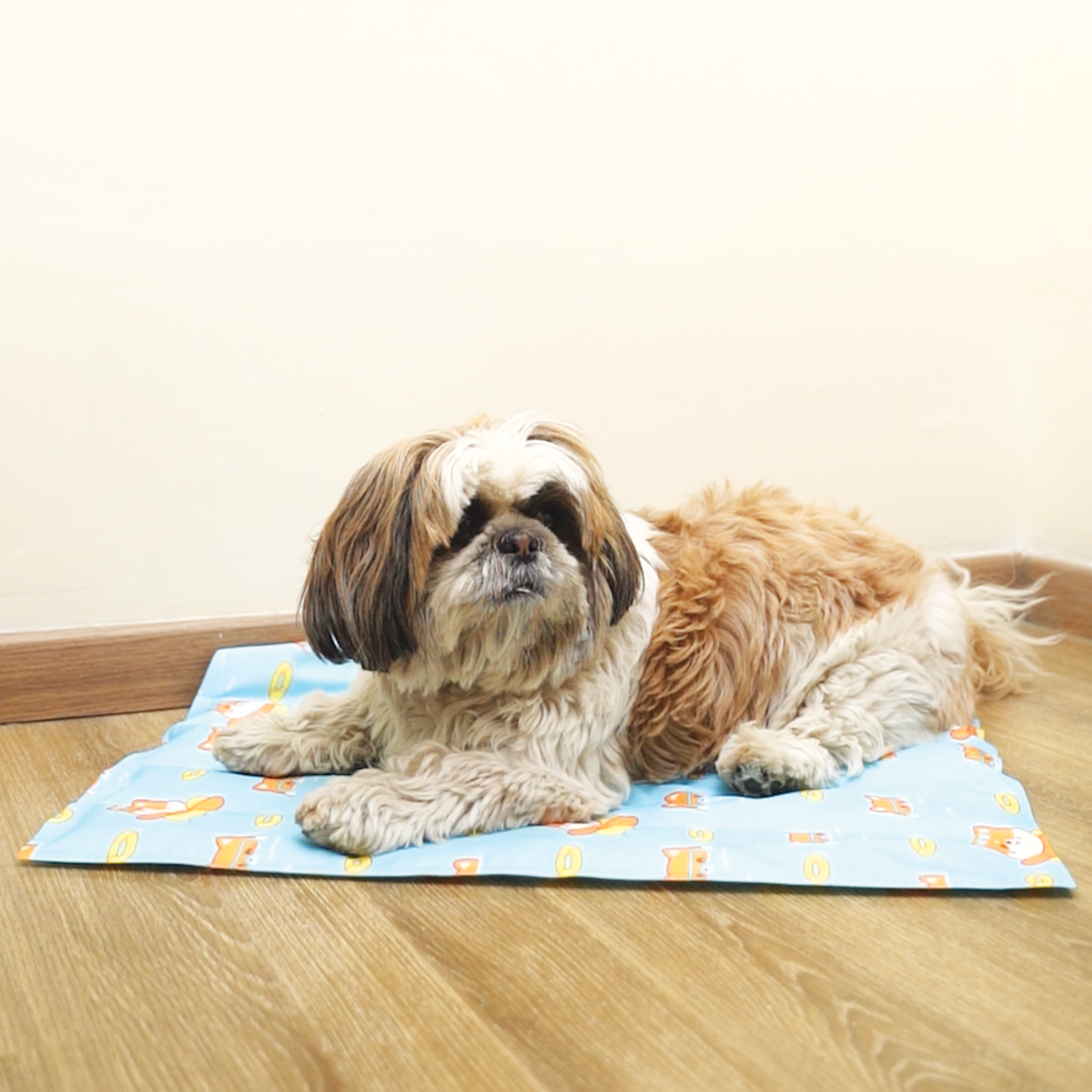 Self Cooling Summer Mat