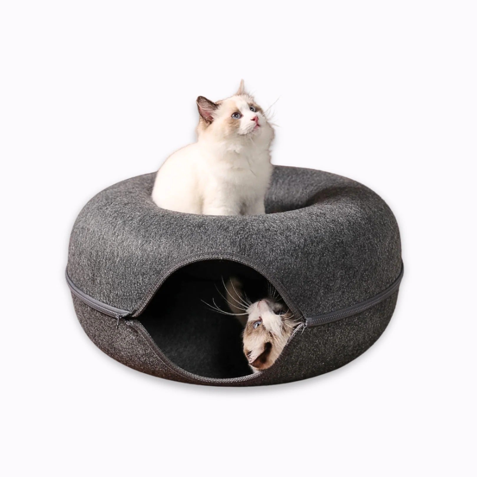 Donut Cat Tunnel Bed
