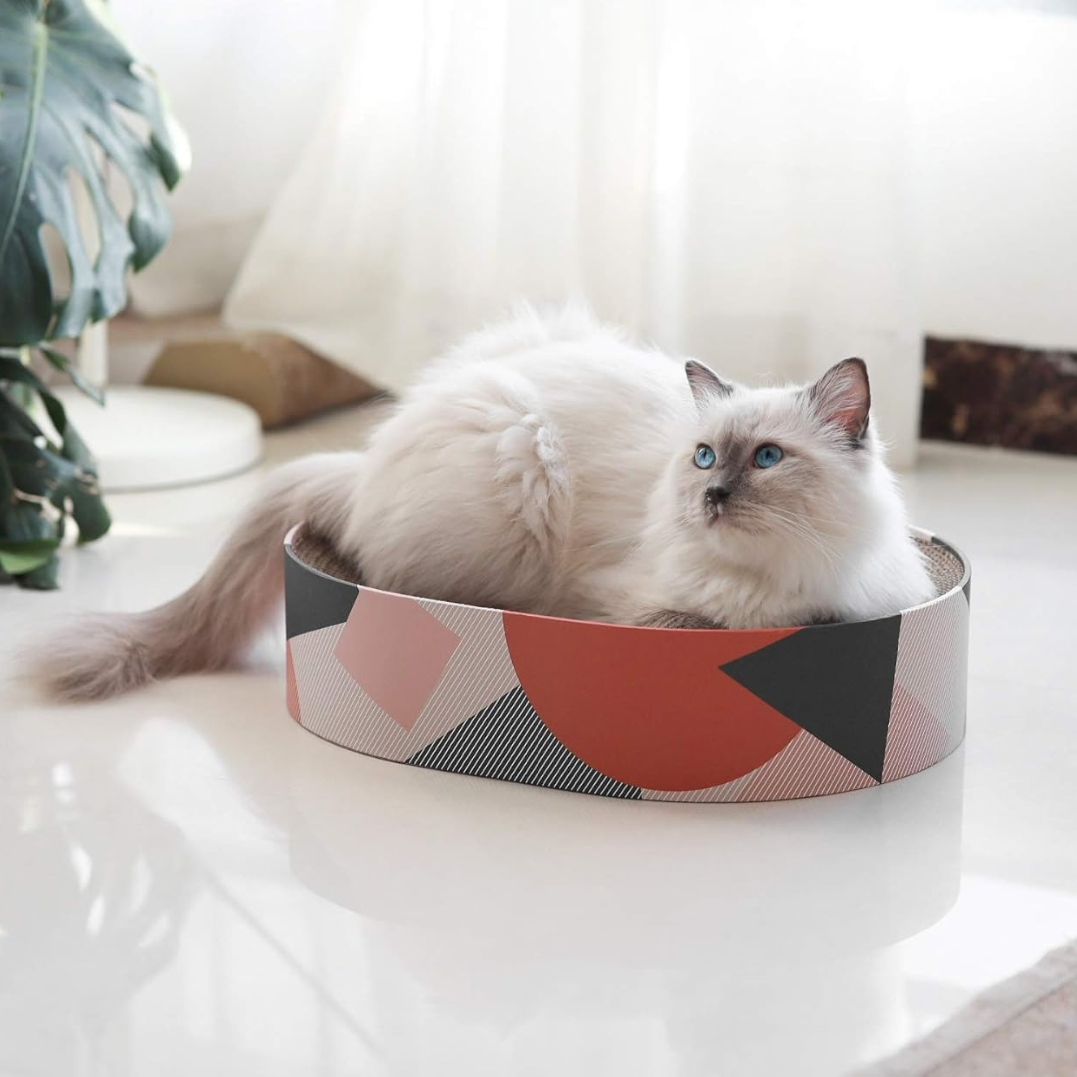 Luxury Scratch Bed For Cats