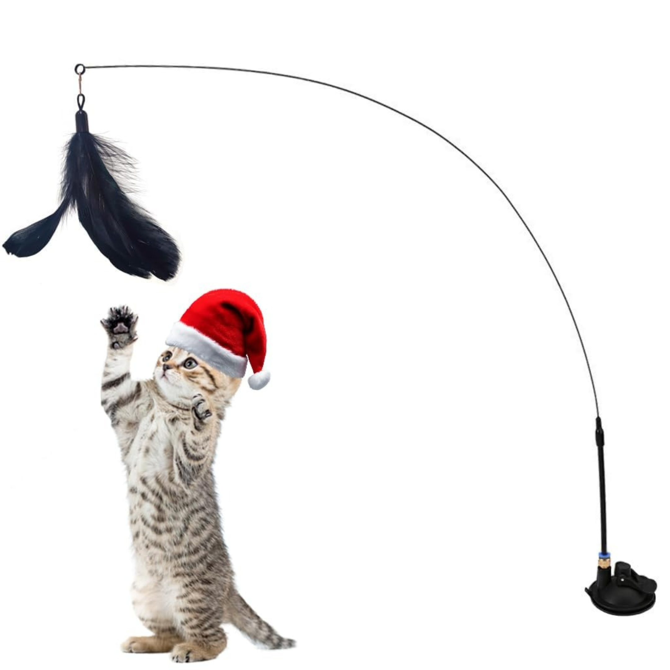 Interactive Feather Cat Toy Set