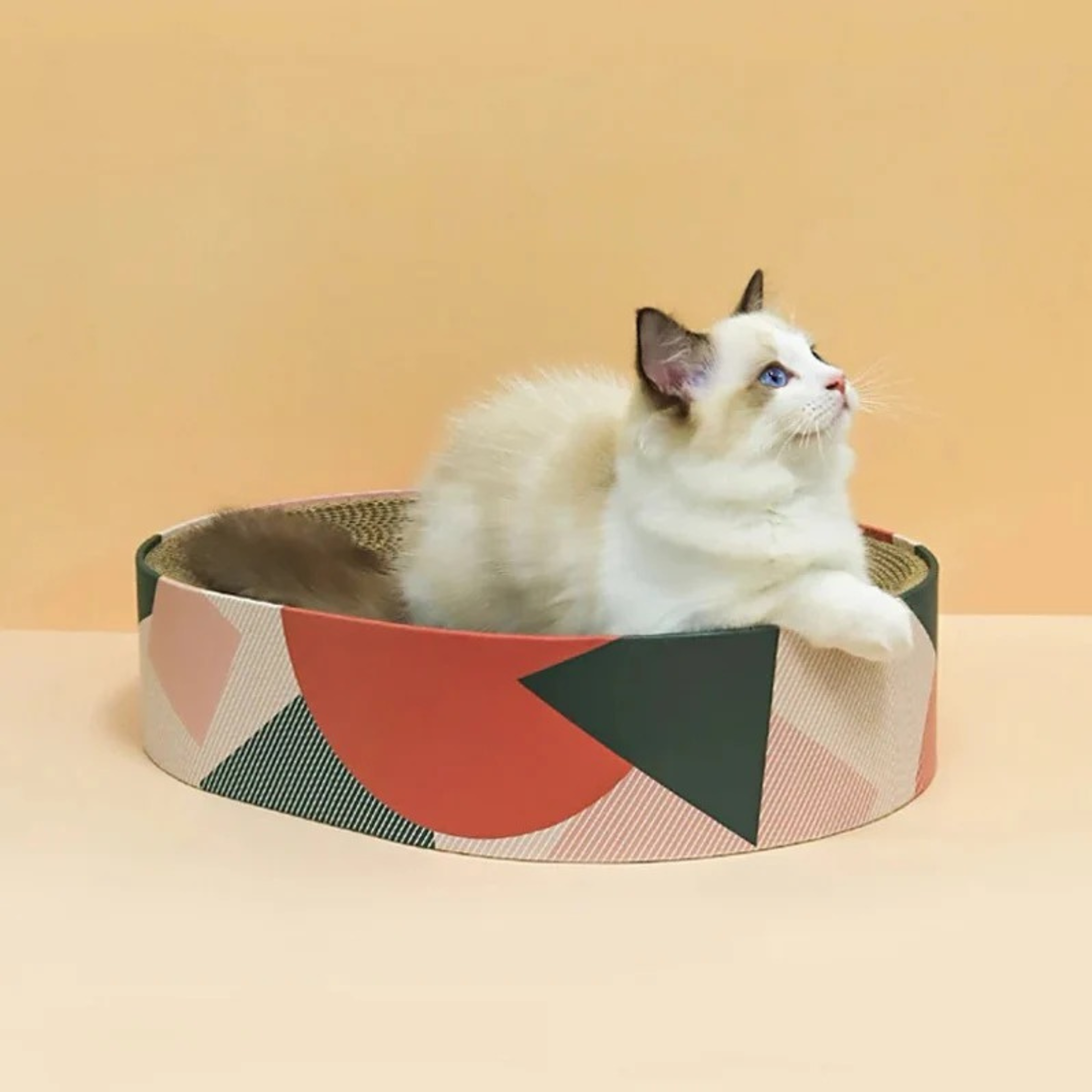 Luxury Scratch Bed For Cats