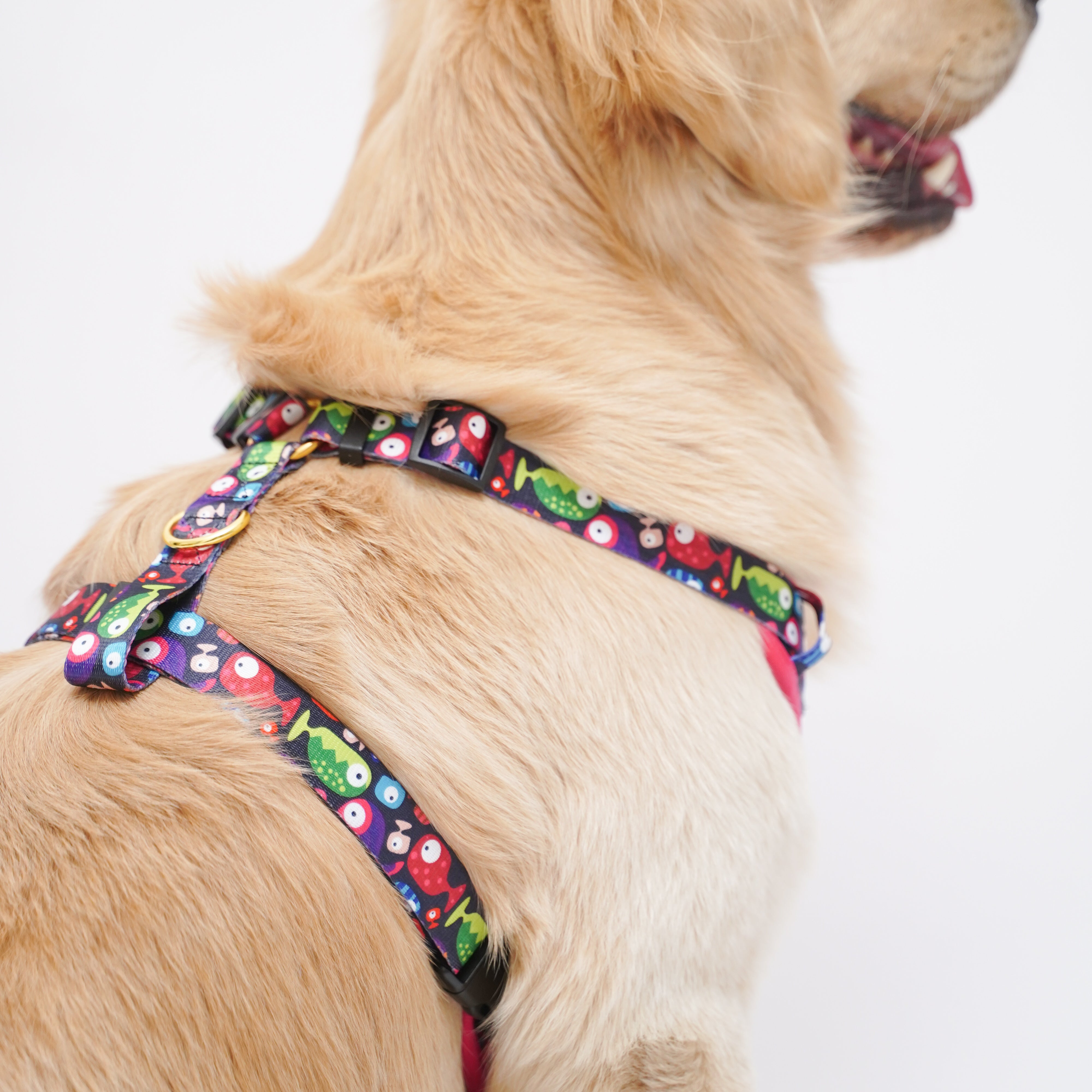 Bobble Fish Leash and Harness Walk Set