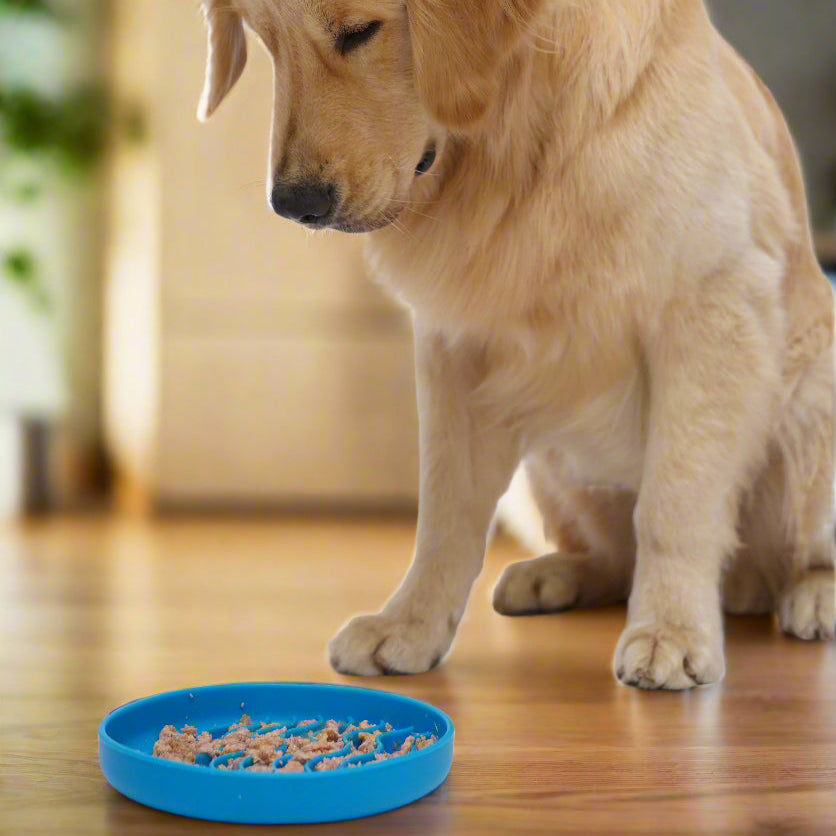 Silicone Slow Feeder Bowl – Anti-Gulping Design for Dogs & Cats