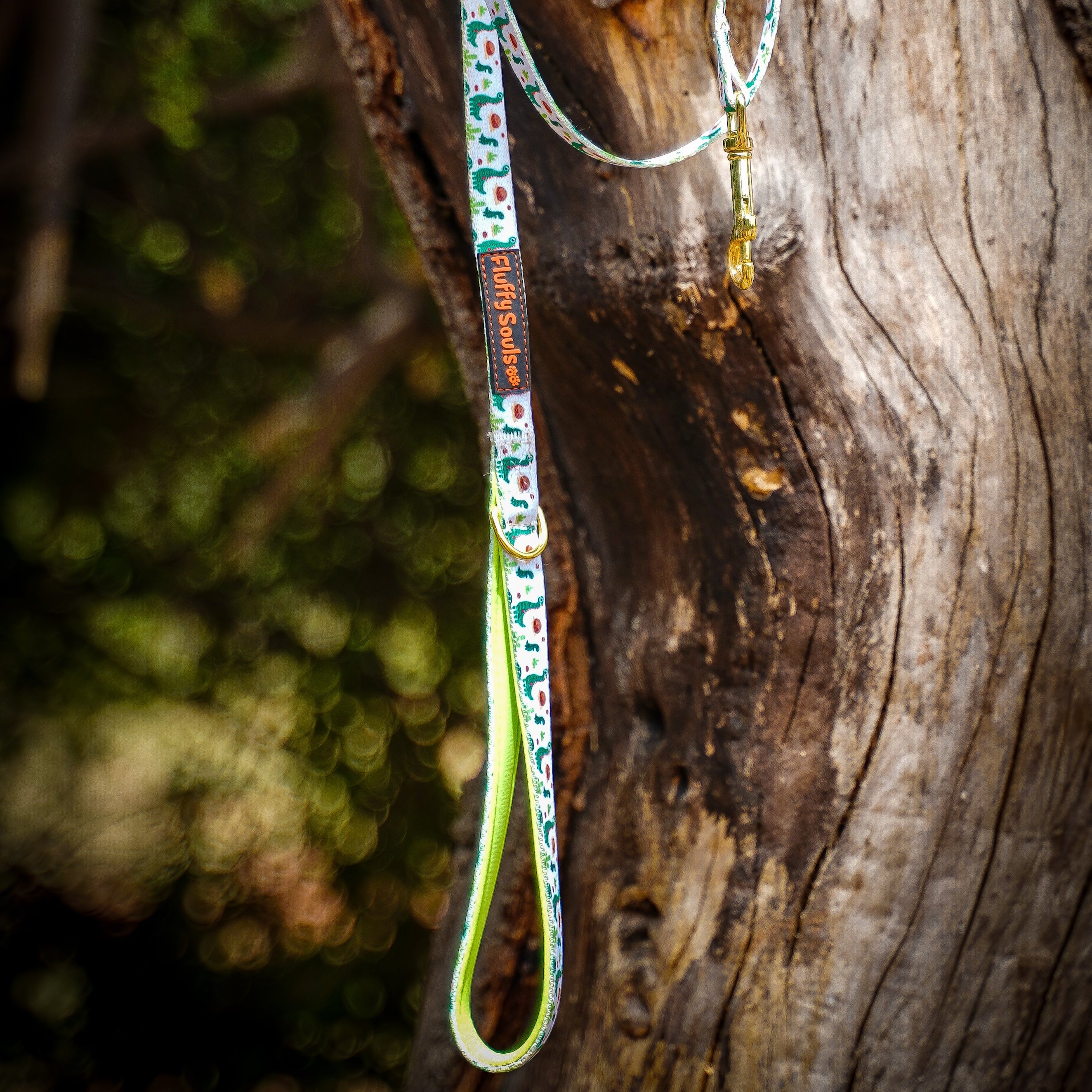 Dino Dog Leash
