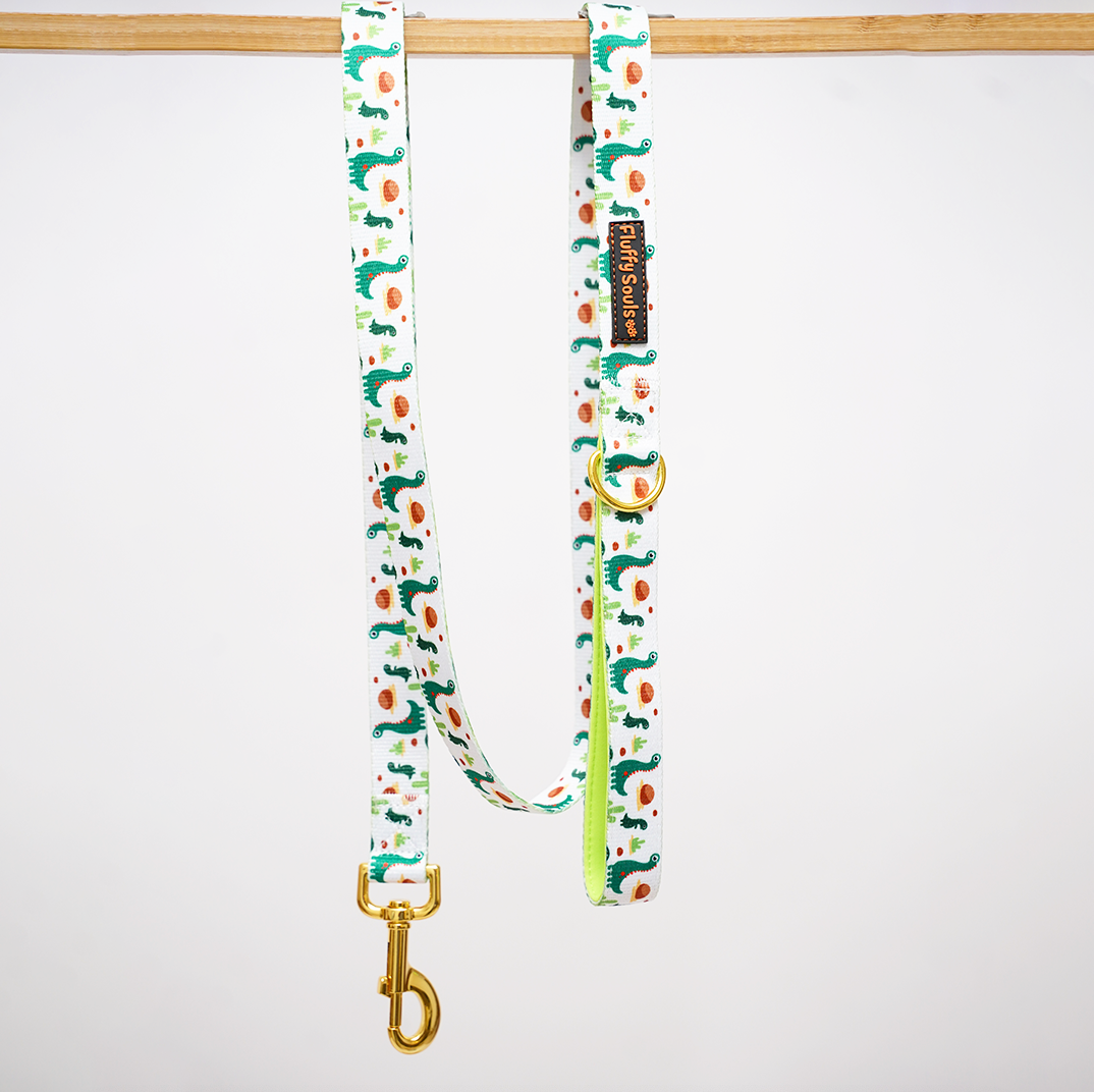 Dino Dog Leash