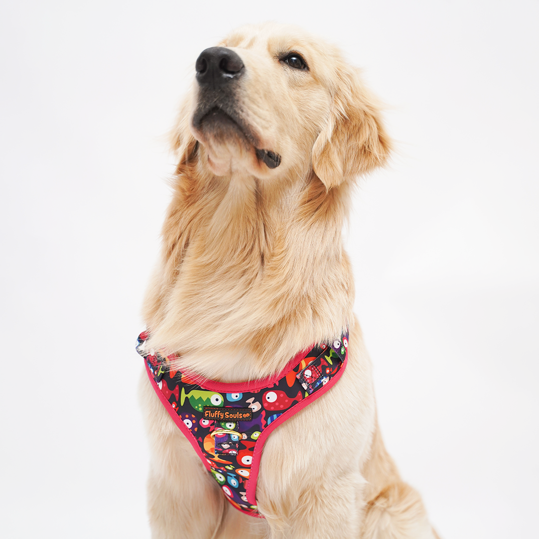 Bobble Fish Dog Harness